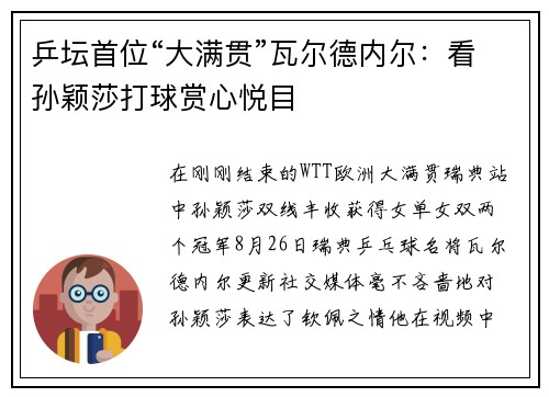 乒坛首位“大满贯”瓦尔德内尔：看孙颖莎打球赏心悦目